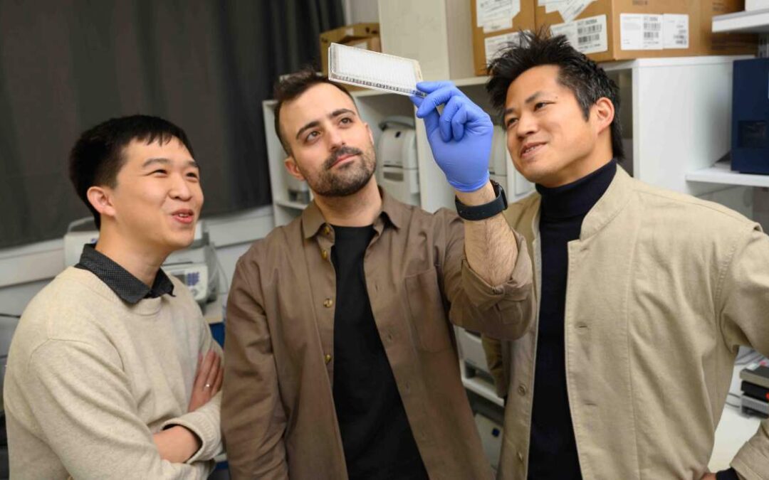 The Master Switch That Can Turn Immune Cells into Cancer Eradicators