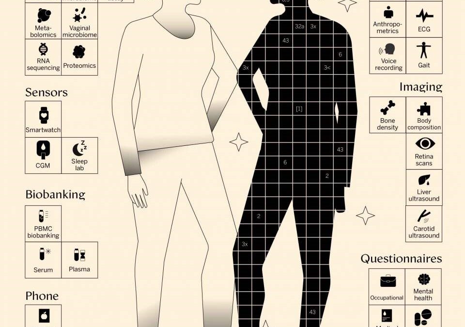 Meet Your Digital Twin