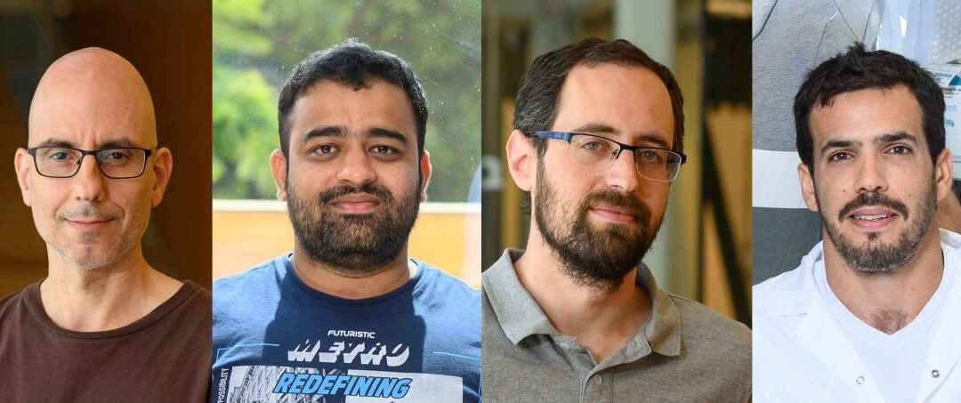 New Study Reveals Sex Hormones Reset Our Body Clocks